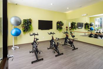 Private yoga and ballet barre studio